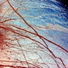 Een wassende Jupitermaan Europa