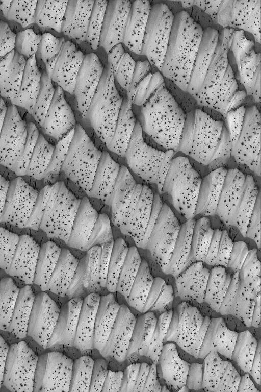 astronomie sterrenkunde ruimtevaart nieuws